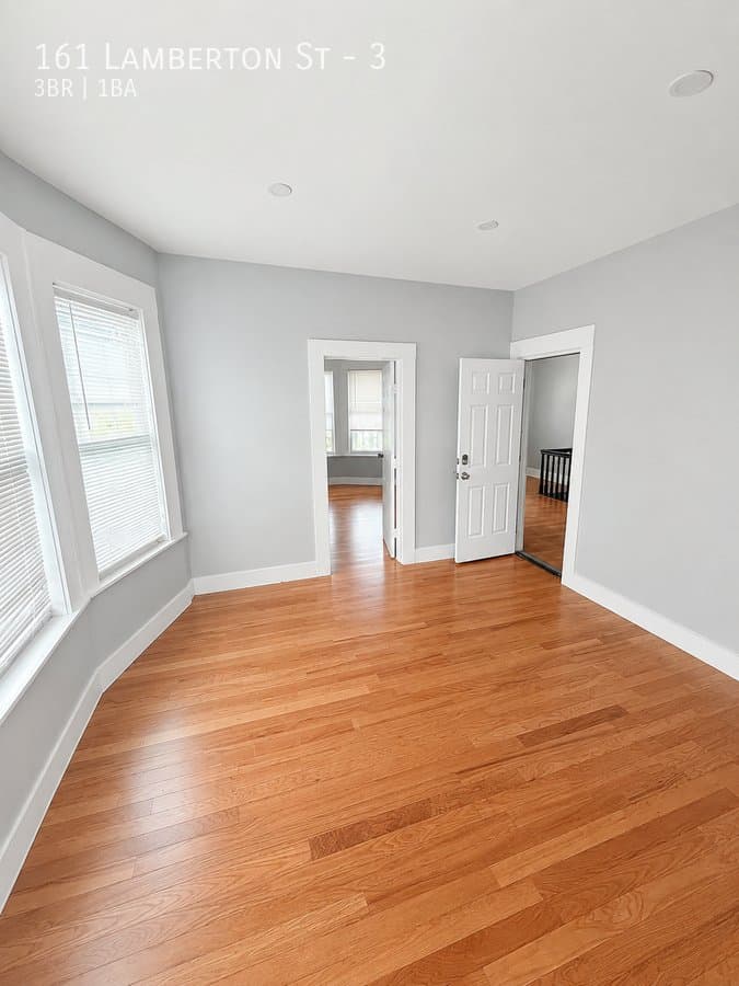 New Haven Apartment: 161 Lamberton St