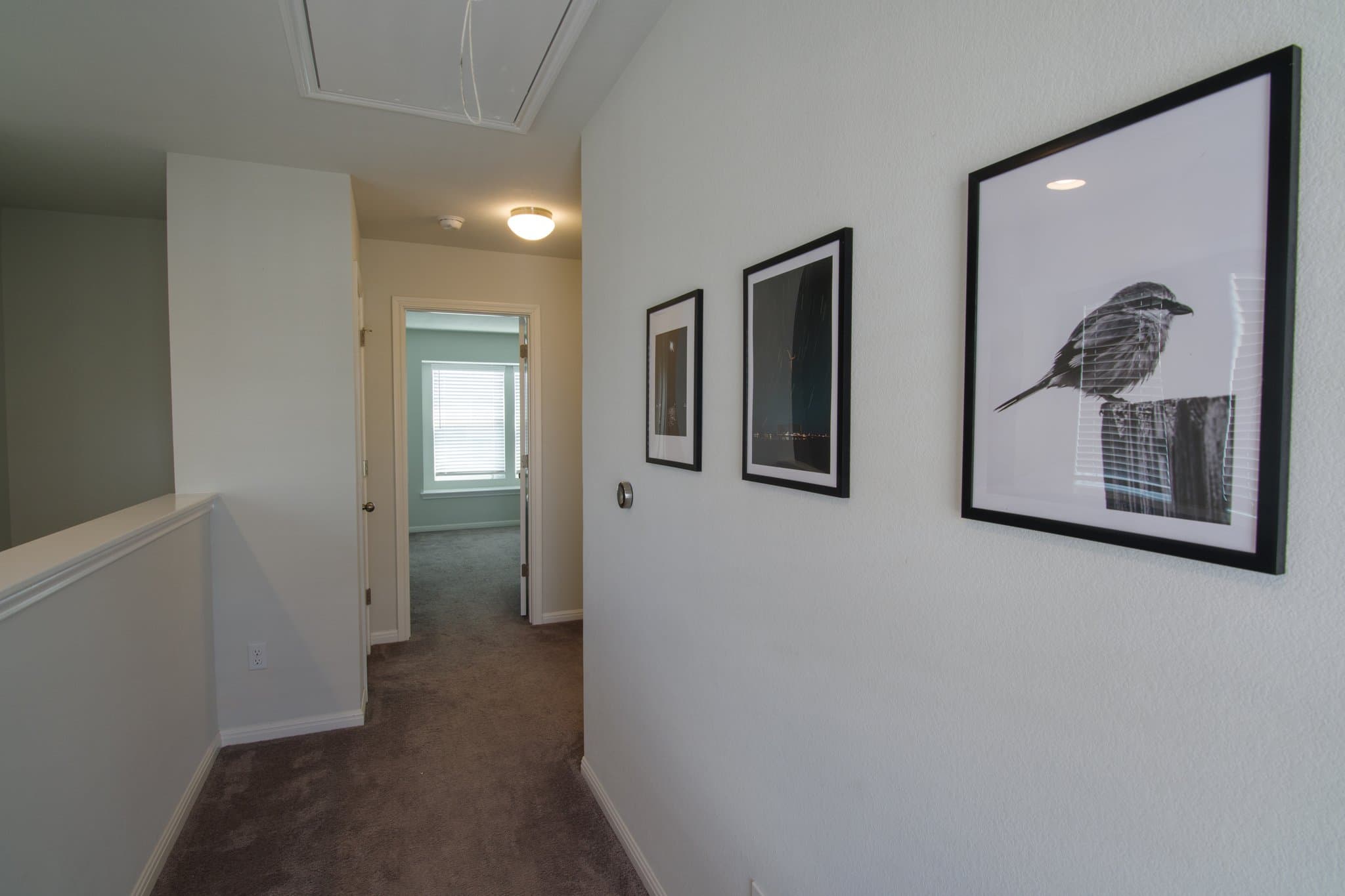 Pflugerville House: 17915 Papaveri Way
