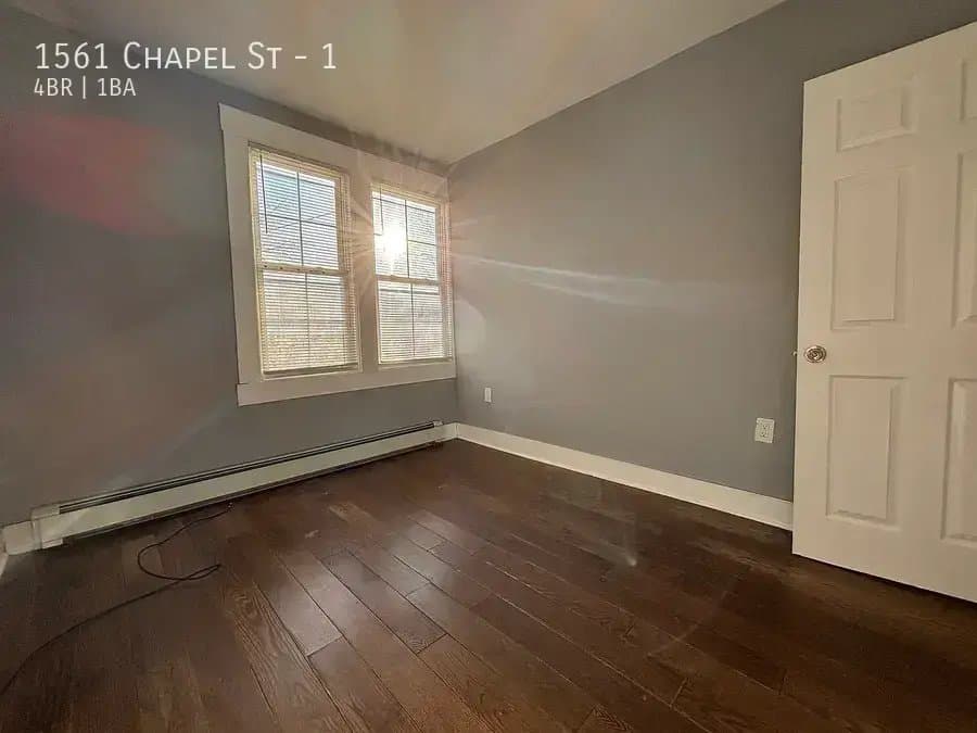 New Haven Apartment: 1561 Chapel St