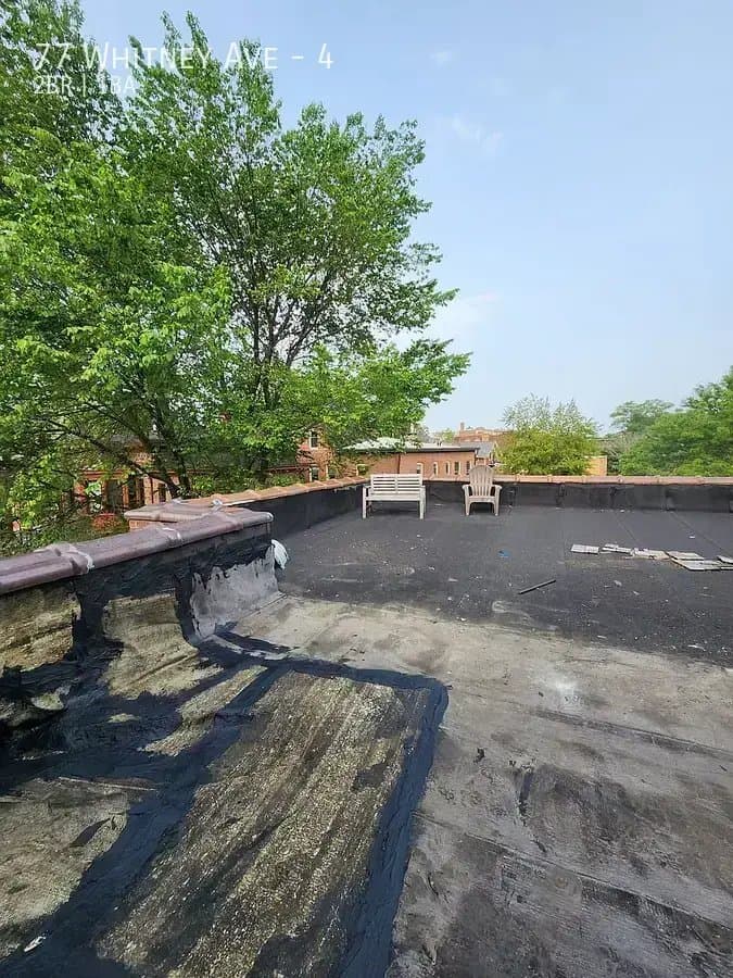 New Haven Apartment: 77 Whitney Ave