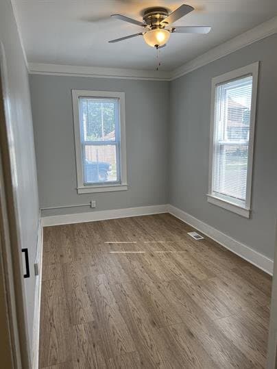 River Rouge Multiplex: 124 oak