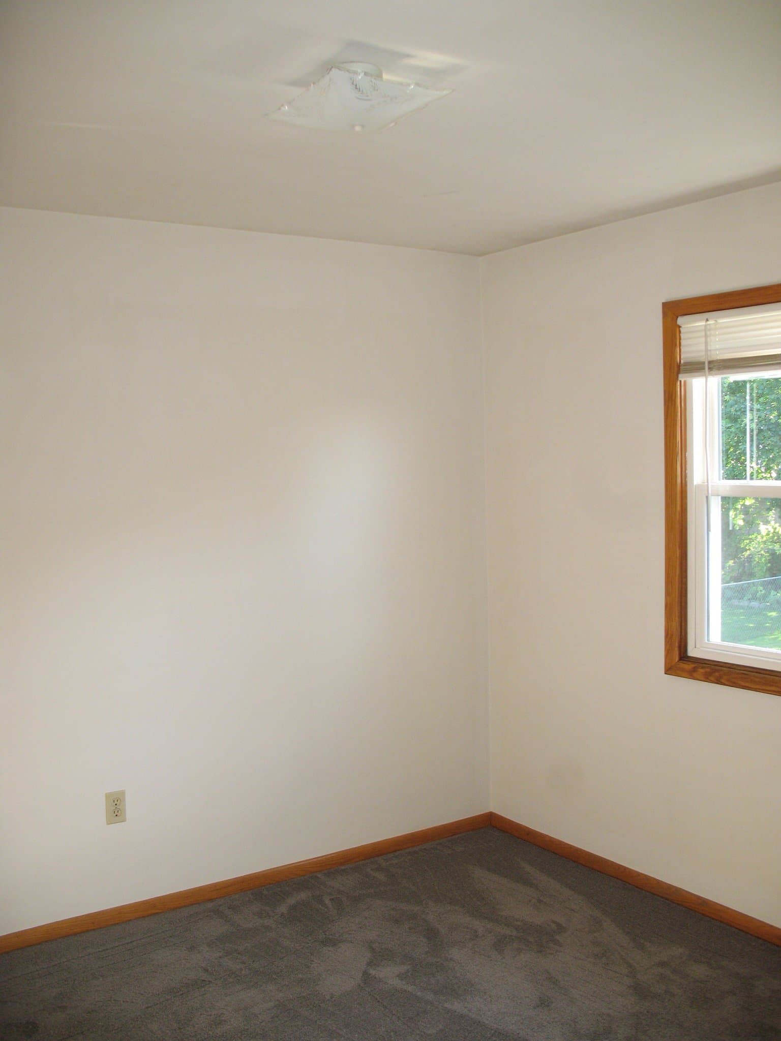 Erie Townhome: 2816 Burns Ave,