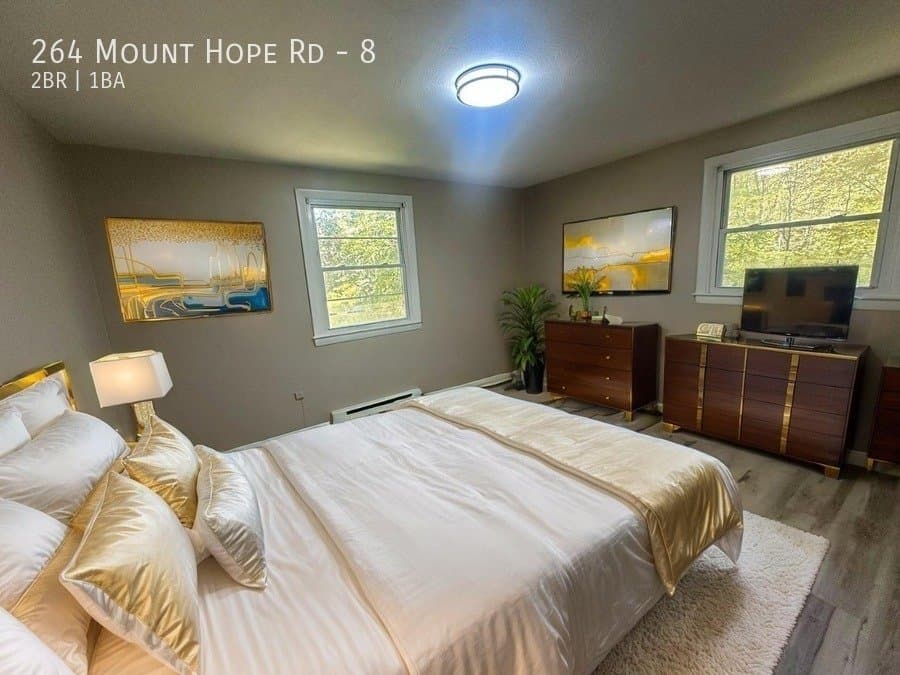 Mansfield Center Apartment: 264 Mount Hope Rd