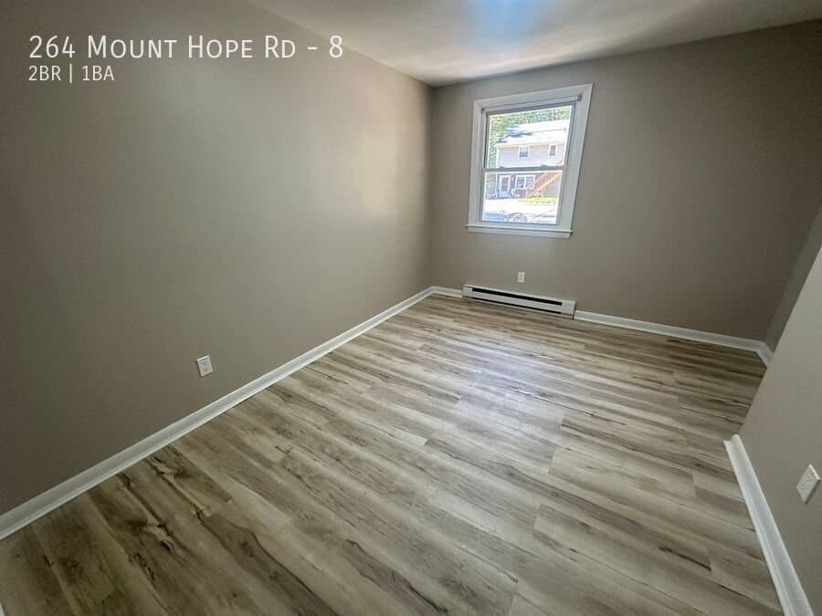 Mansfield Center Apartment: 264 Mount Hope Rd