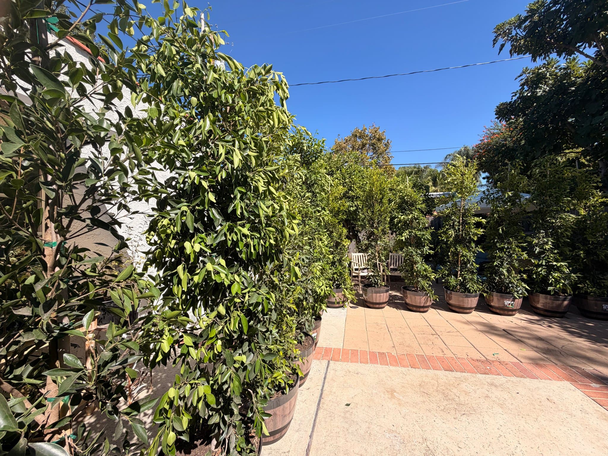 Burbank House: 236 N Myers St