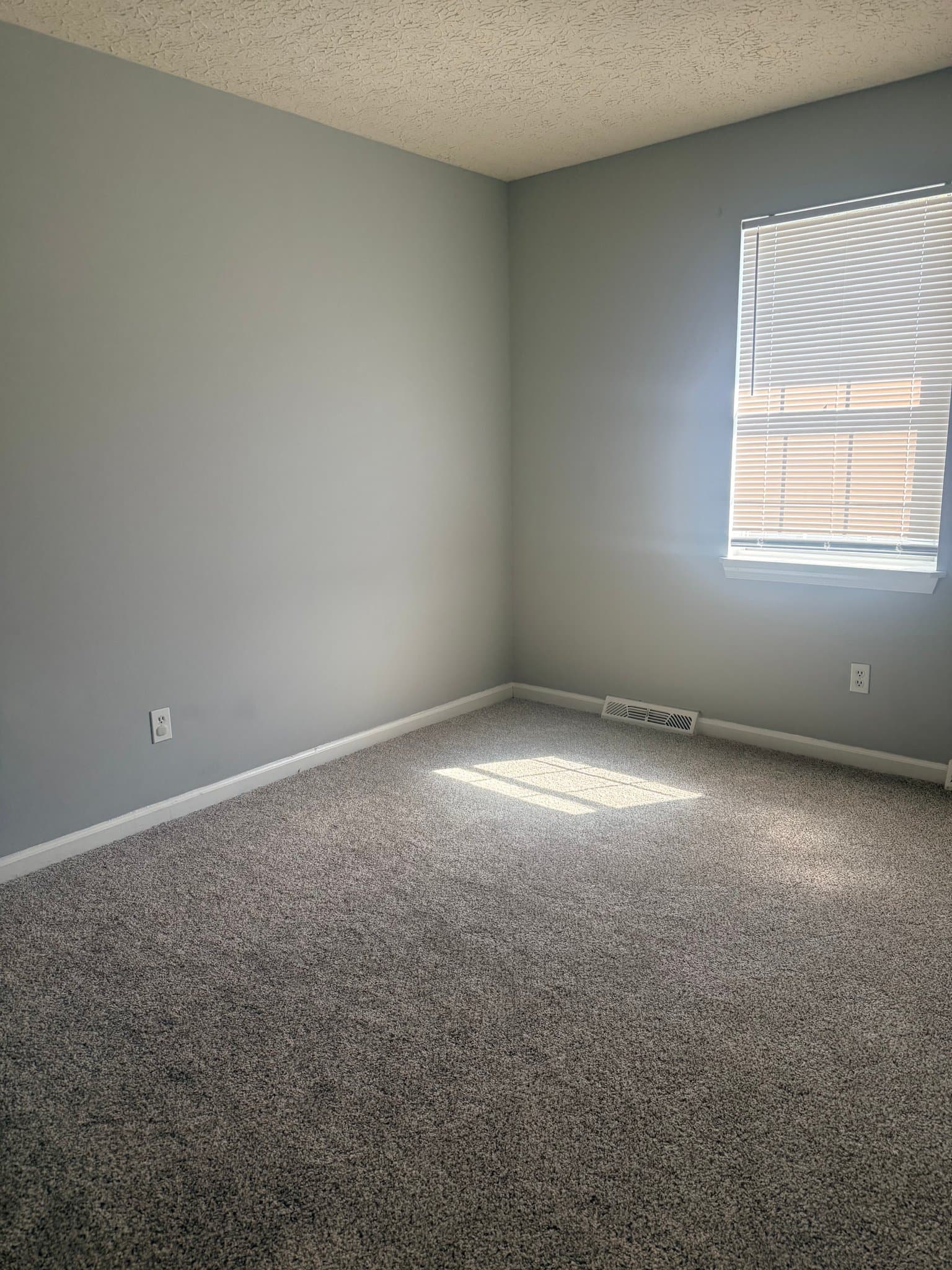 Lynchburg Townhome: 23 Hobbs Ln