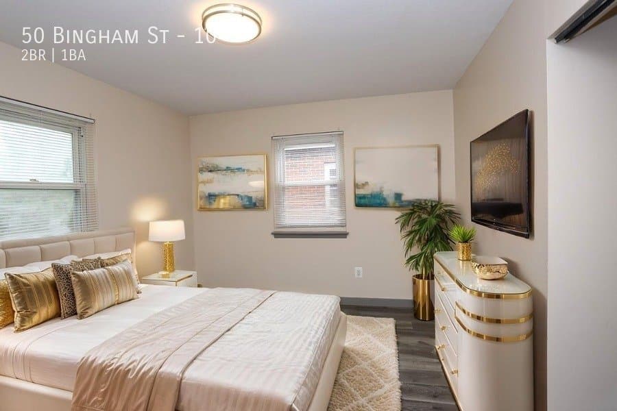 Bristol Apartment: 50 Bingham St