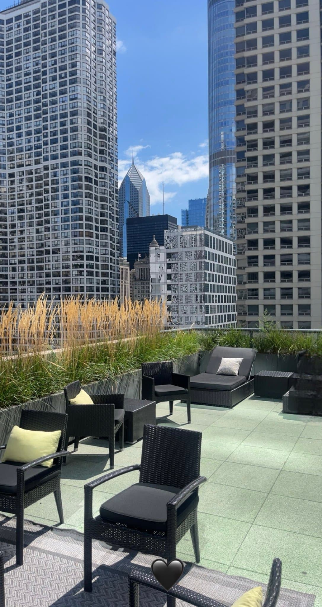 Chicago Condo: 19 E Grand