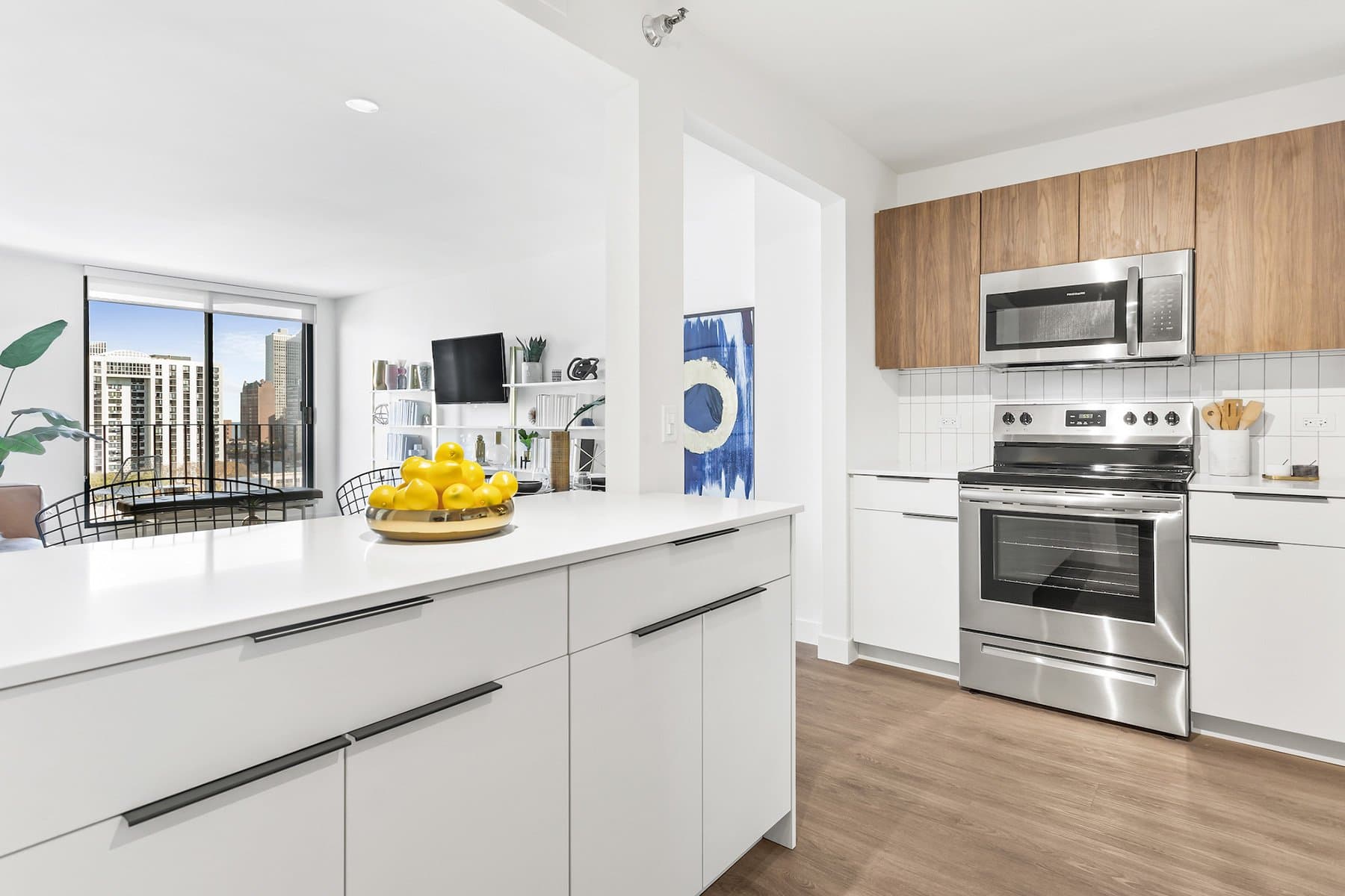 Chicago Condo: 1232 North LaSalle Drive
