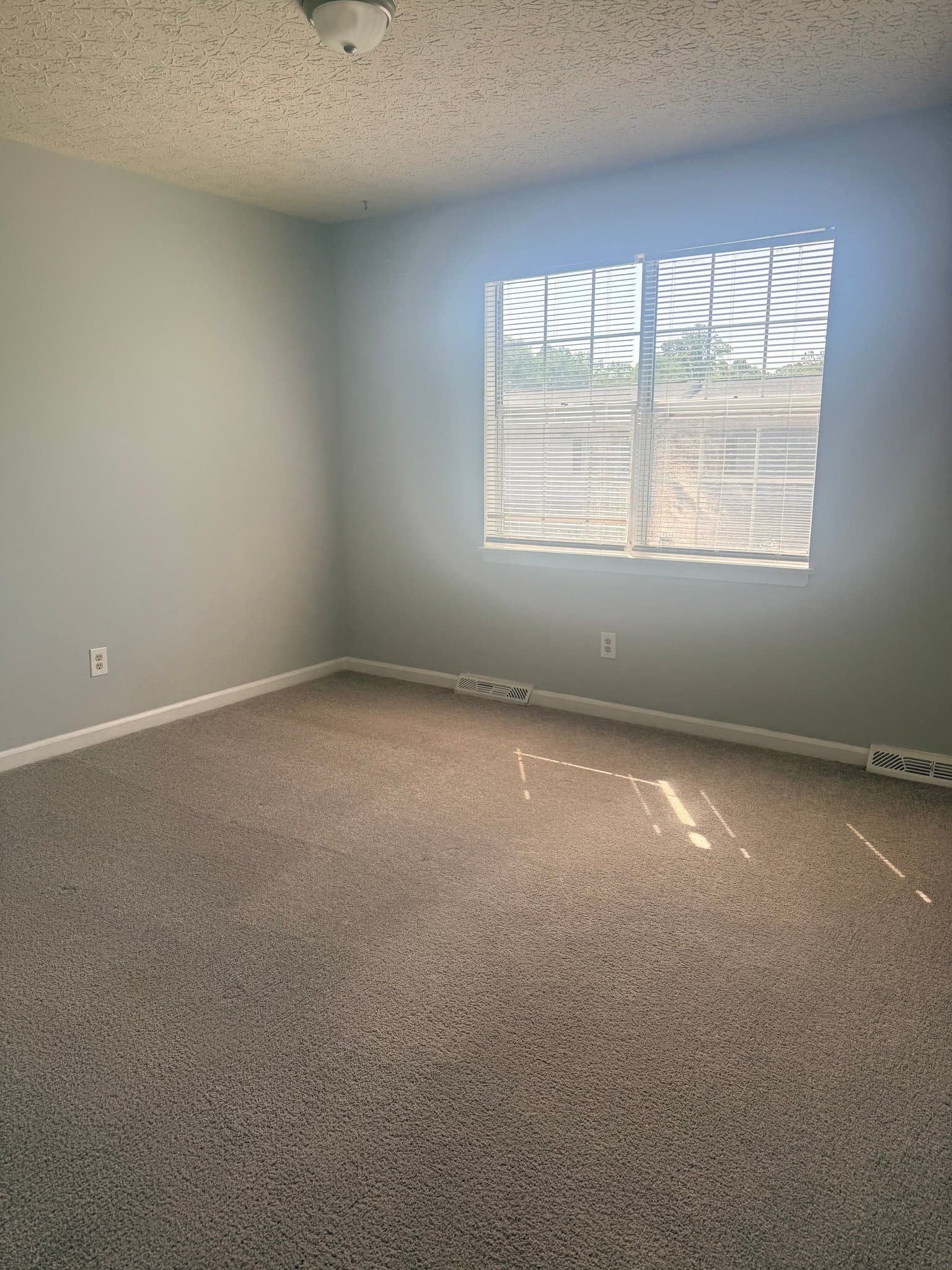 Lynchburg Townhome: 36 Ferguson Dr