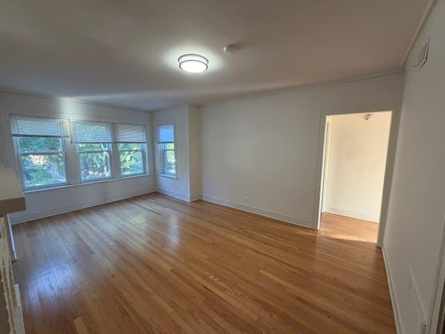Chicago Apartment: 7250 Hamilton