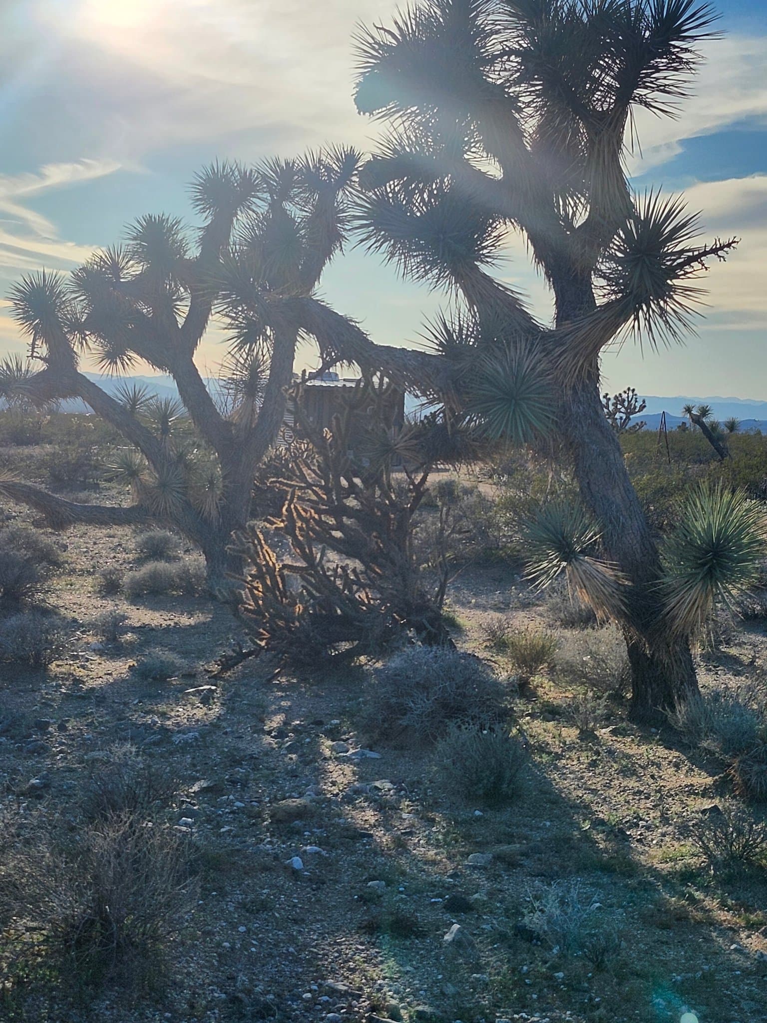 Yucca House: 15231 S Wild Bill Road Unit B