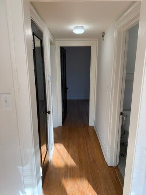 Chicago Apartment: 7250 Hamilton