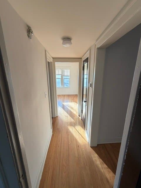 Chicago Apartment: 7250 Hamilton