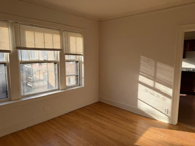 Chicago Apartment: 7250 Hamilton