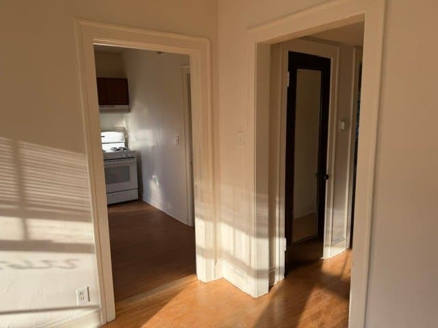 Chicago Apartment: 7250 Hamilton