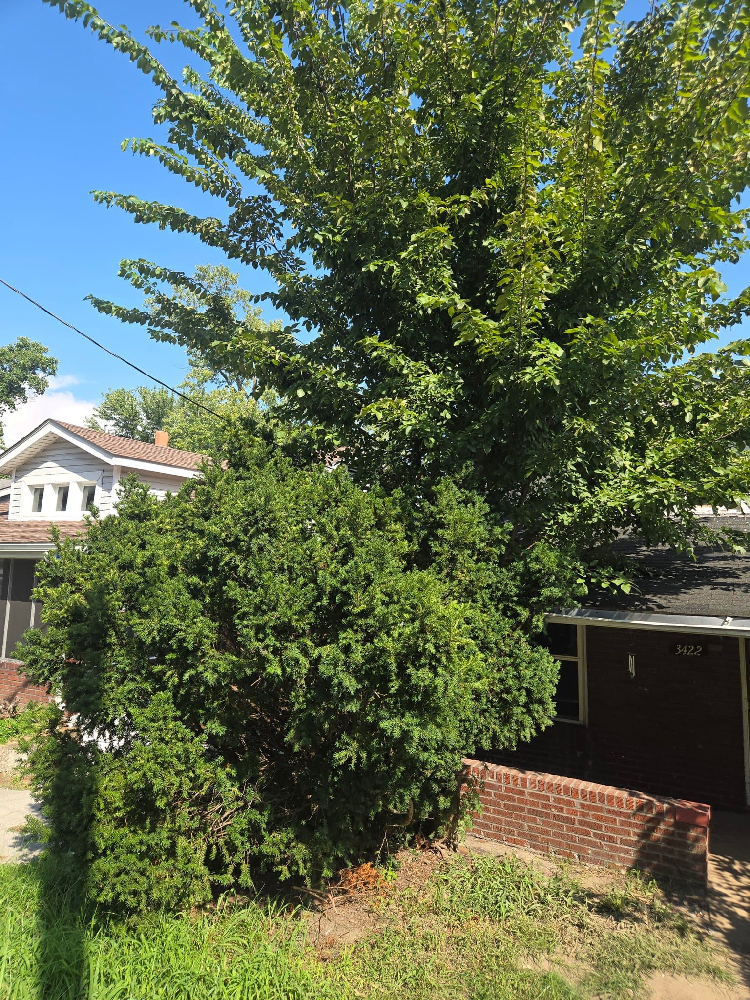 St. Louis House: 3422 Lucas And Hunt Rd.