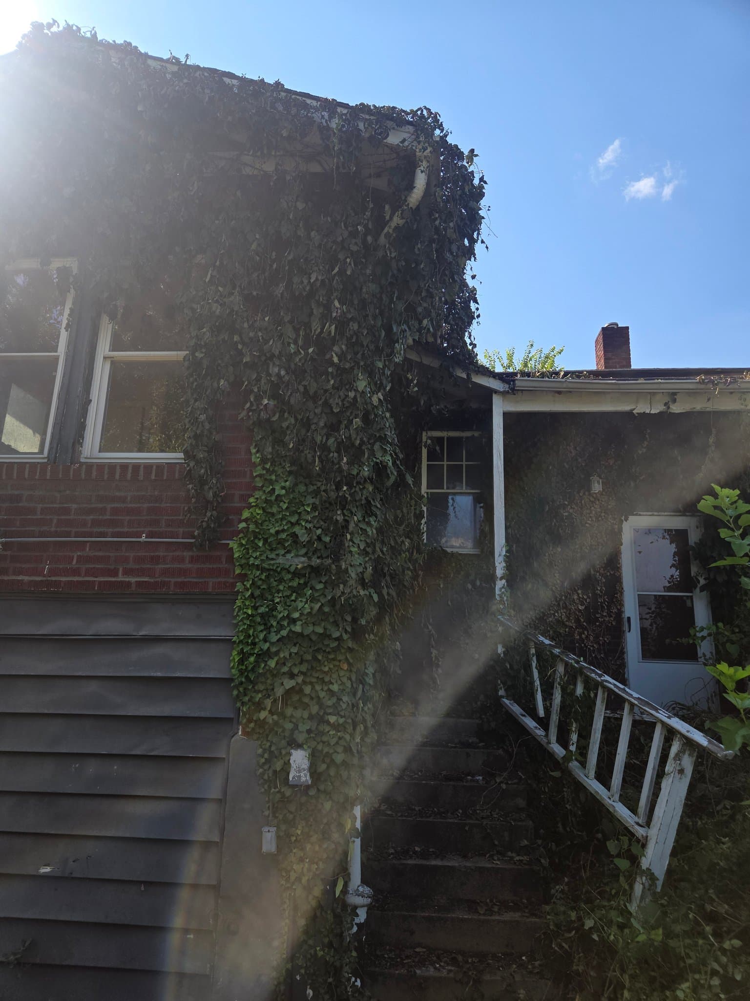 St. Louis House: 3422 Lucas And Hunt Rd.
