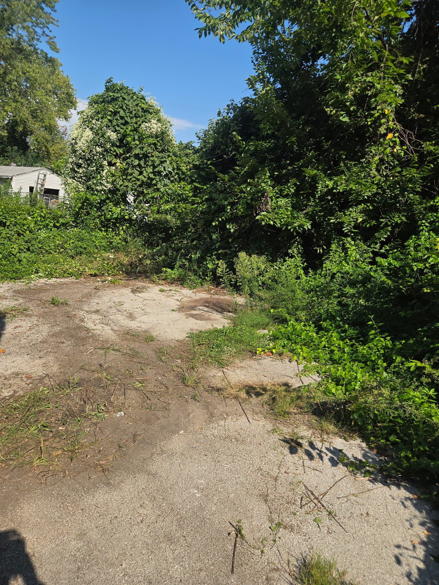 St. Louis House: 3422 Lucas And Hunt Rd.