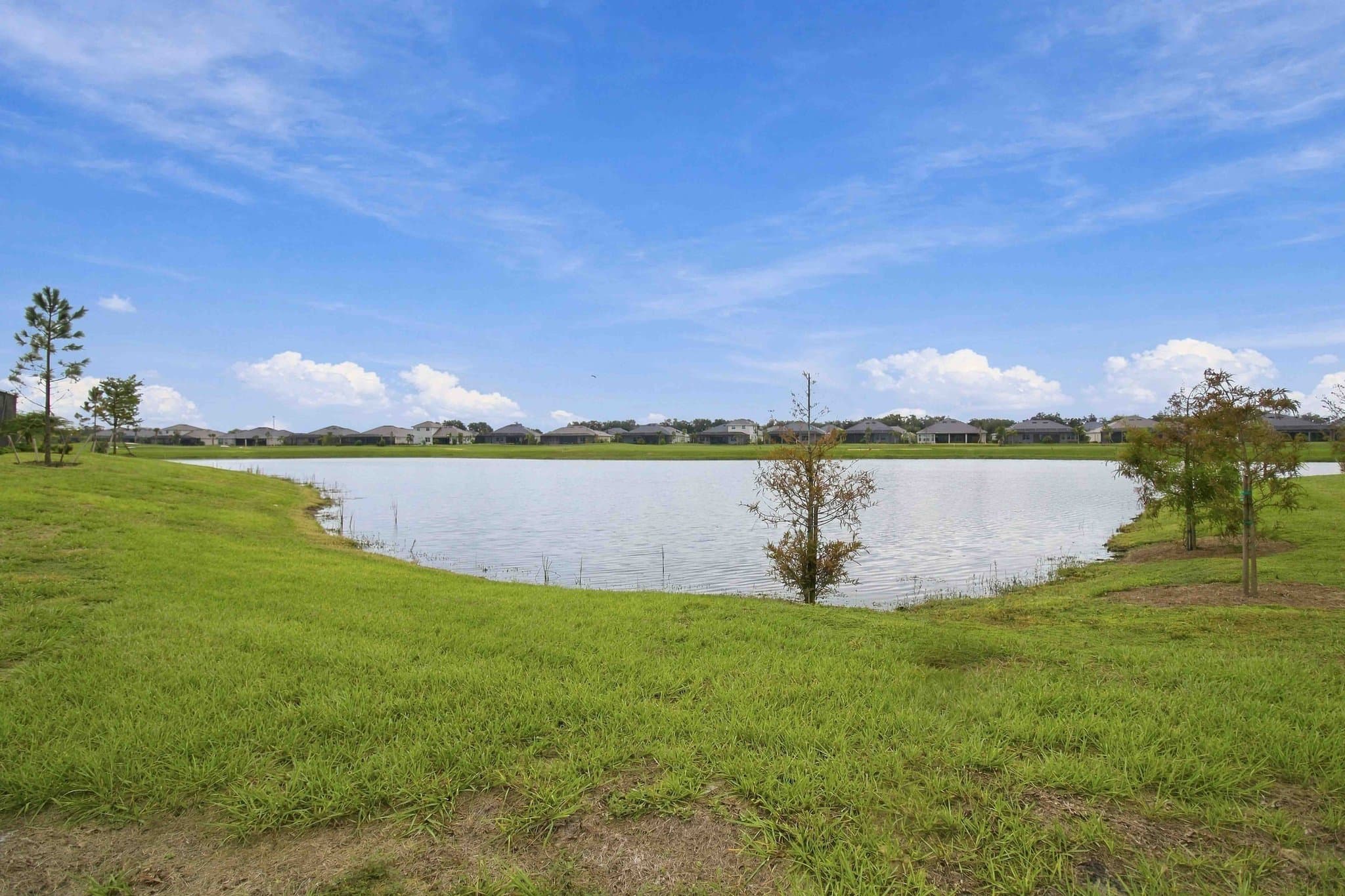 Bradenton House: 19104 Cherrystone Way