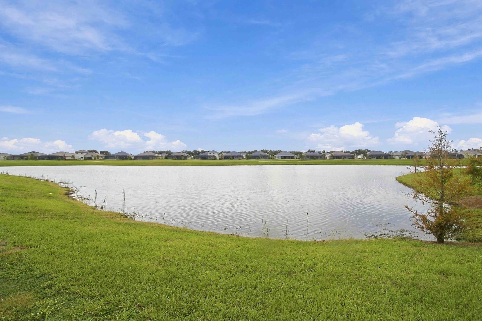 Bradenton House: 19104 Cherrystone Way
