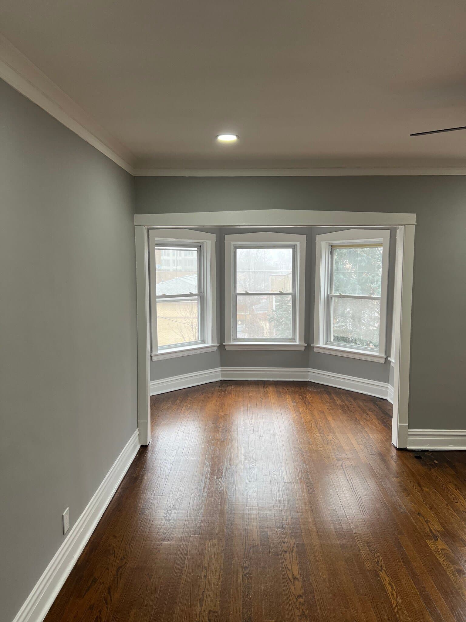 Chicago Condo: 1629 W Granville Ave