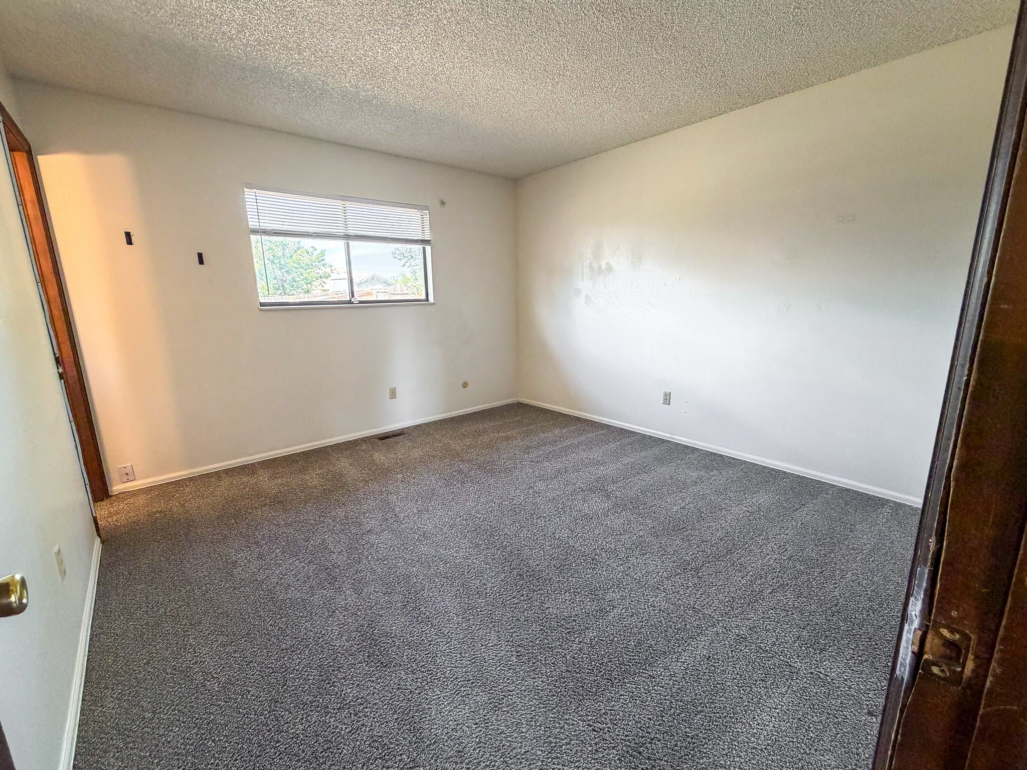 Colorado Springs House: 6050 Eagles Nest Ct