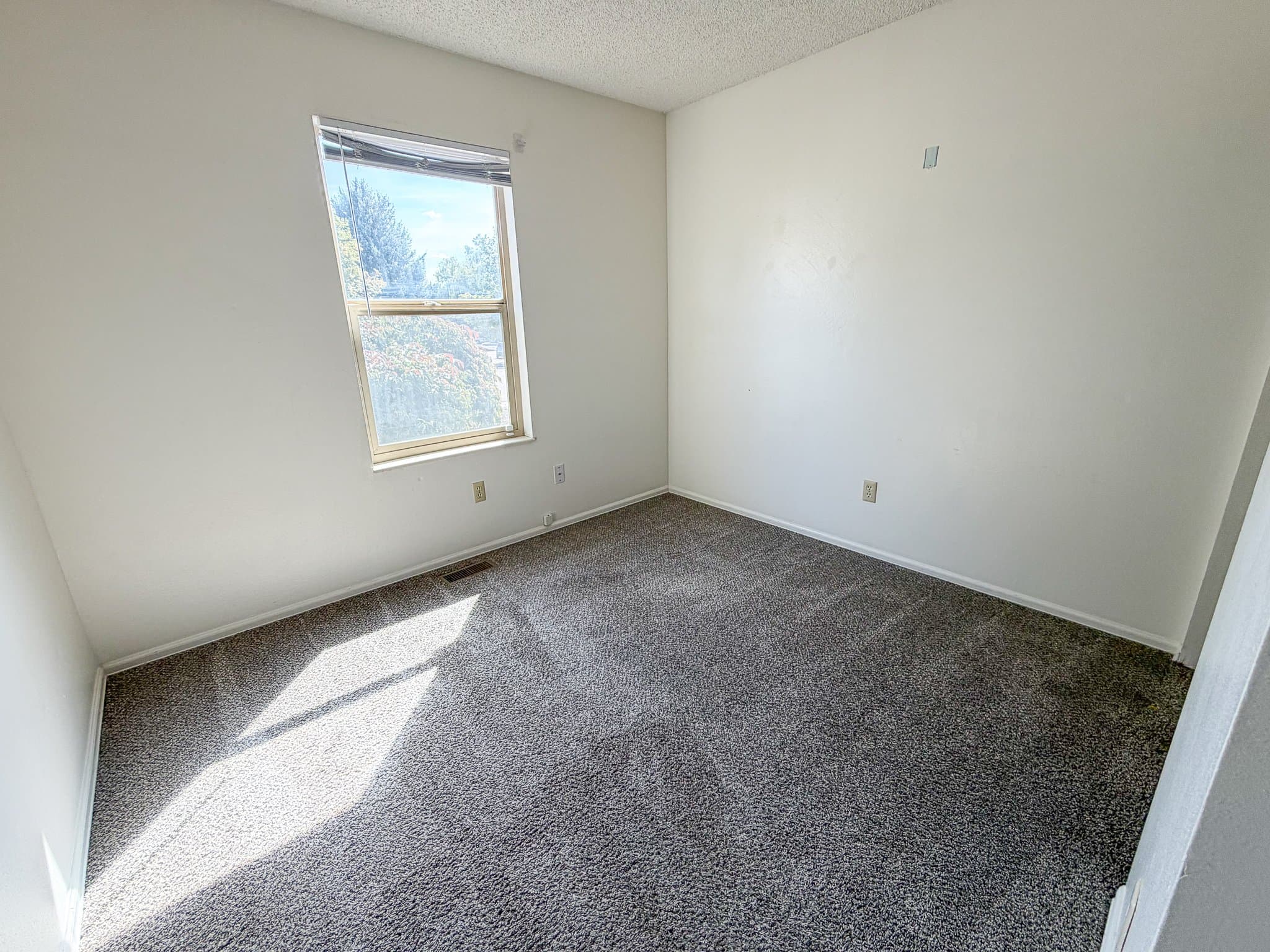 Colorado Springs House: 6050 Eagles Nest Ct