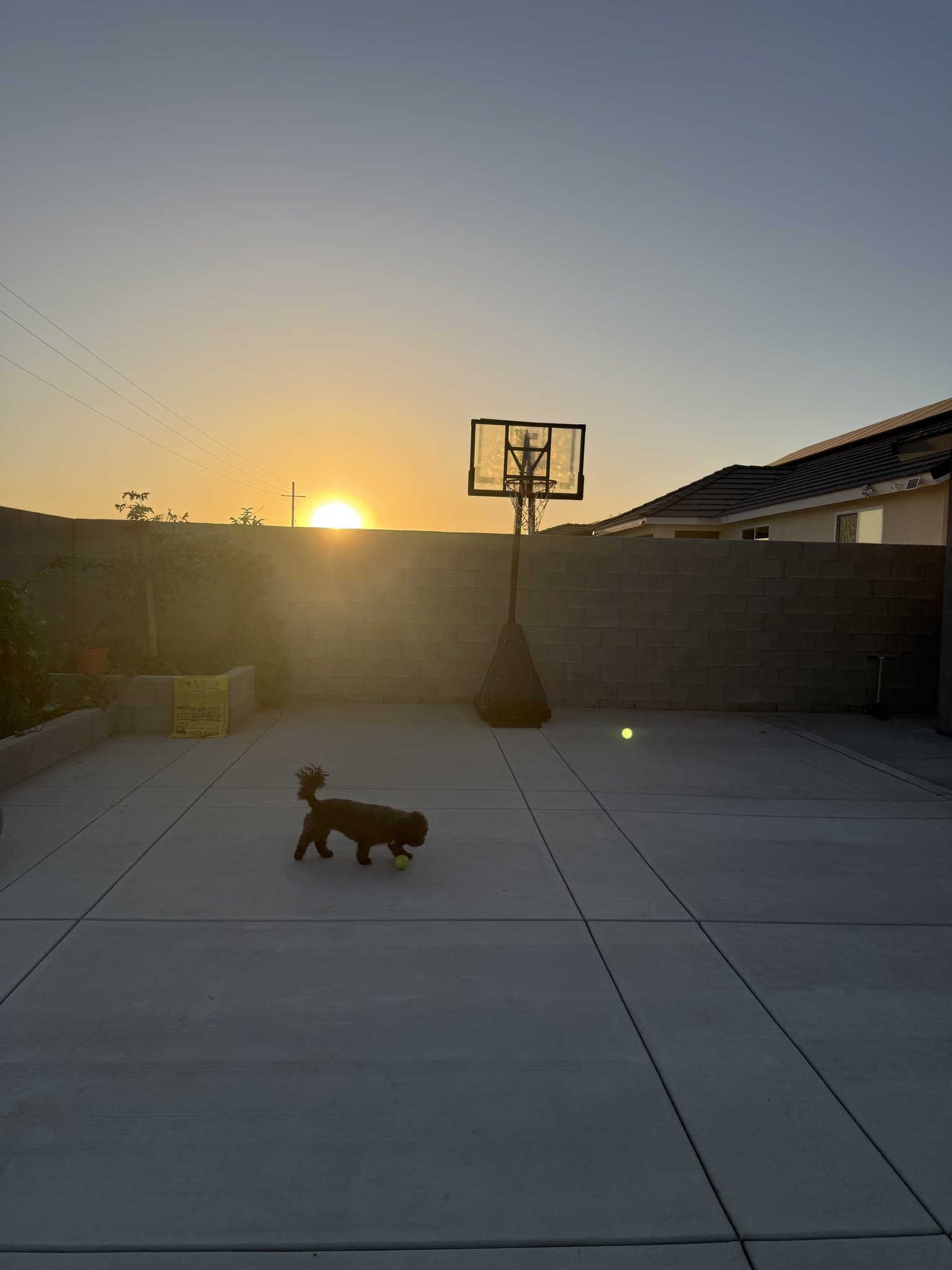 Bakersfield House: 12701 Petaluma Ct