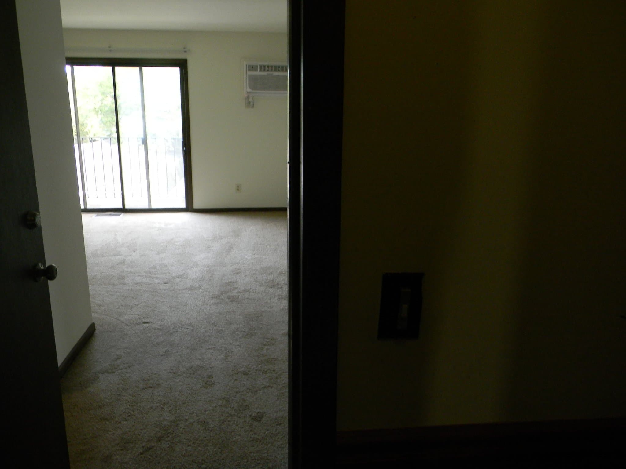 Harvard Apartment: 1000 West Roosevelt