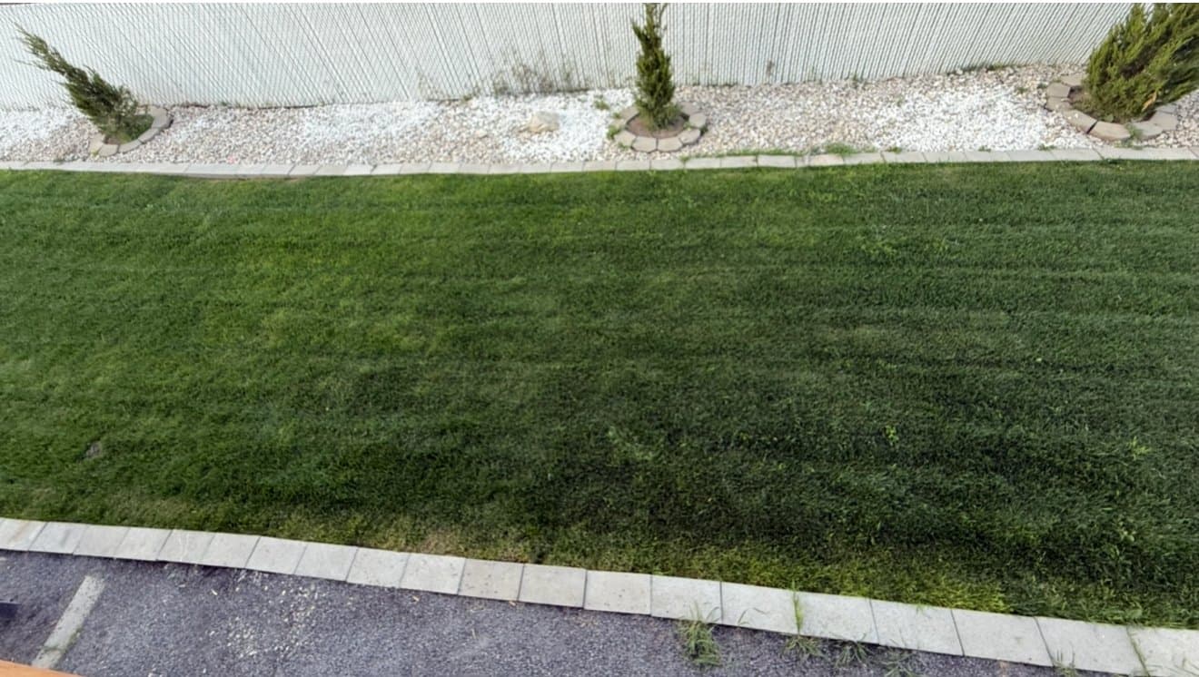 Magna Multiplex: 8180 W Marcy Brook Pl