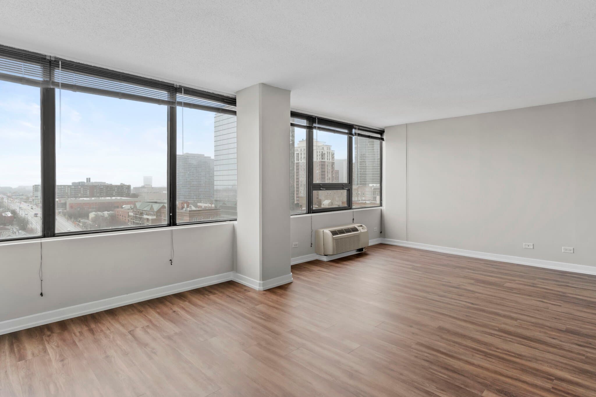Chicago Condo: 1231 S Wabash Ave