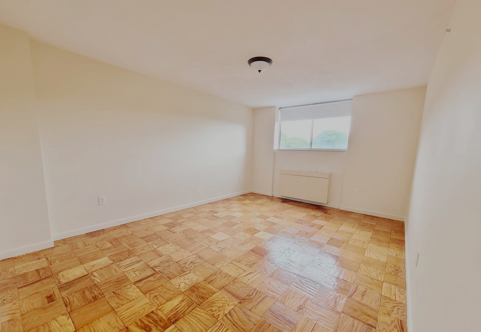 Brookline Apartment: 101 Monmouth St.