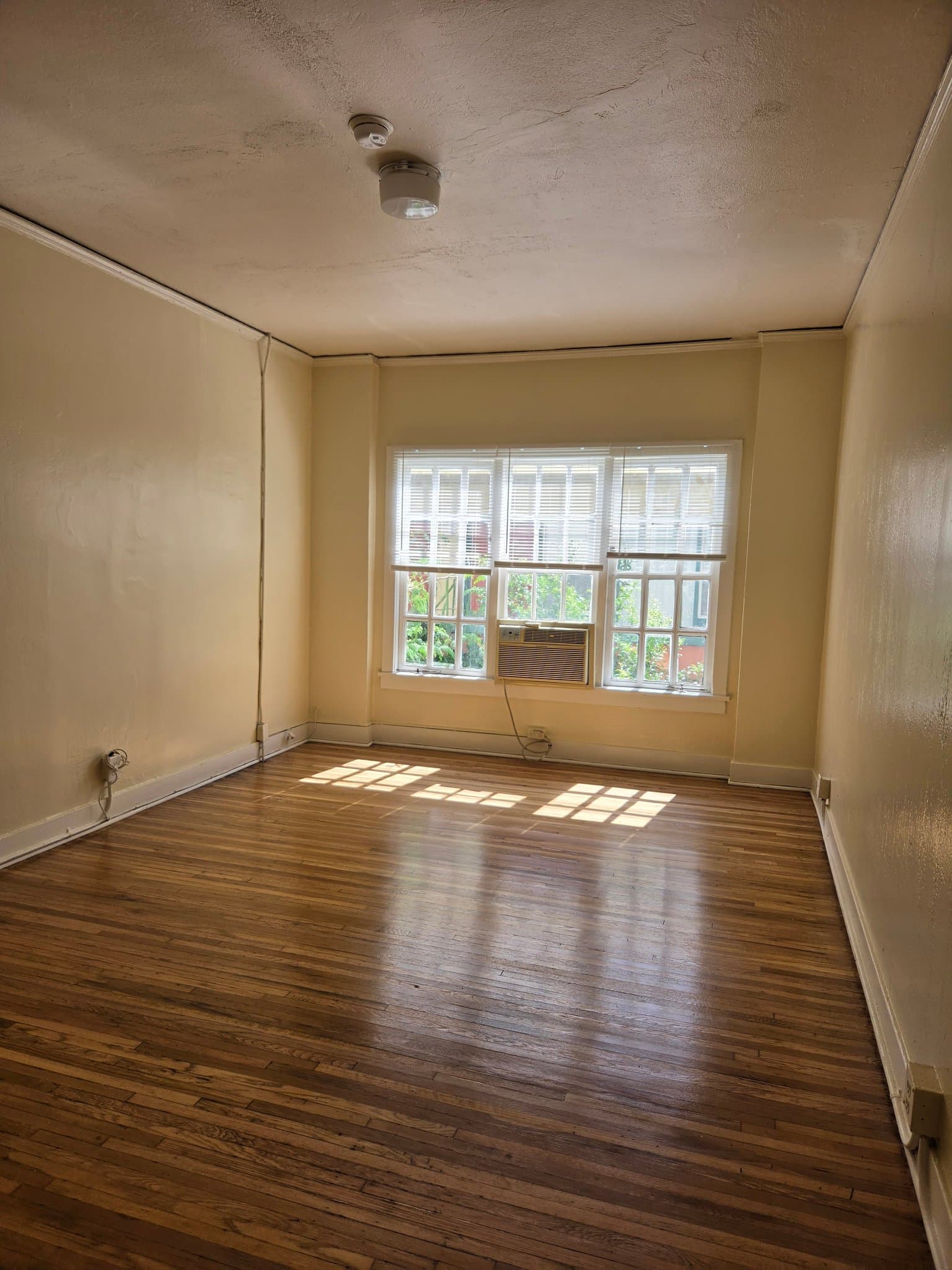 Los Angeles Apartment: 1825 Ivar Ave