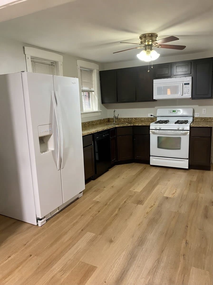 Chicago Multiplex: 722 W Wrightwood Ave