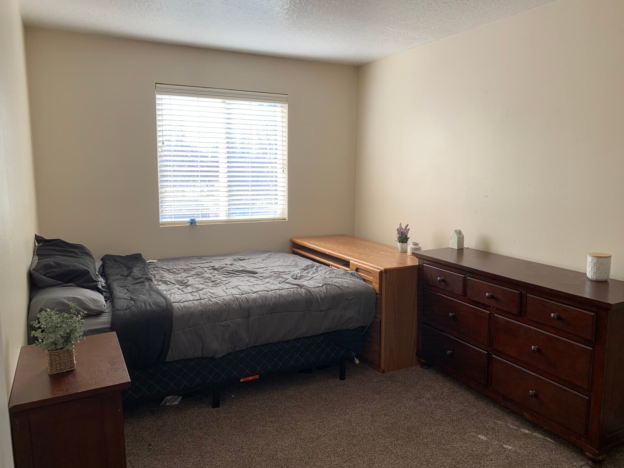 Provo Townhome: 1015 S 900 E