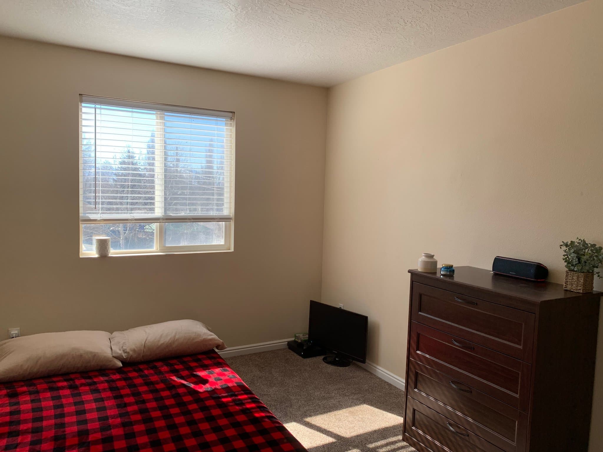 Provo Townhome: 1015 S 900 E