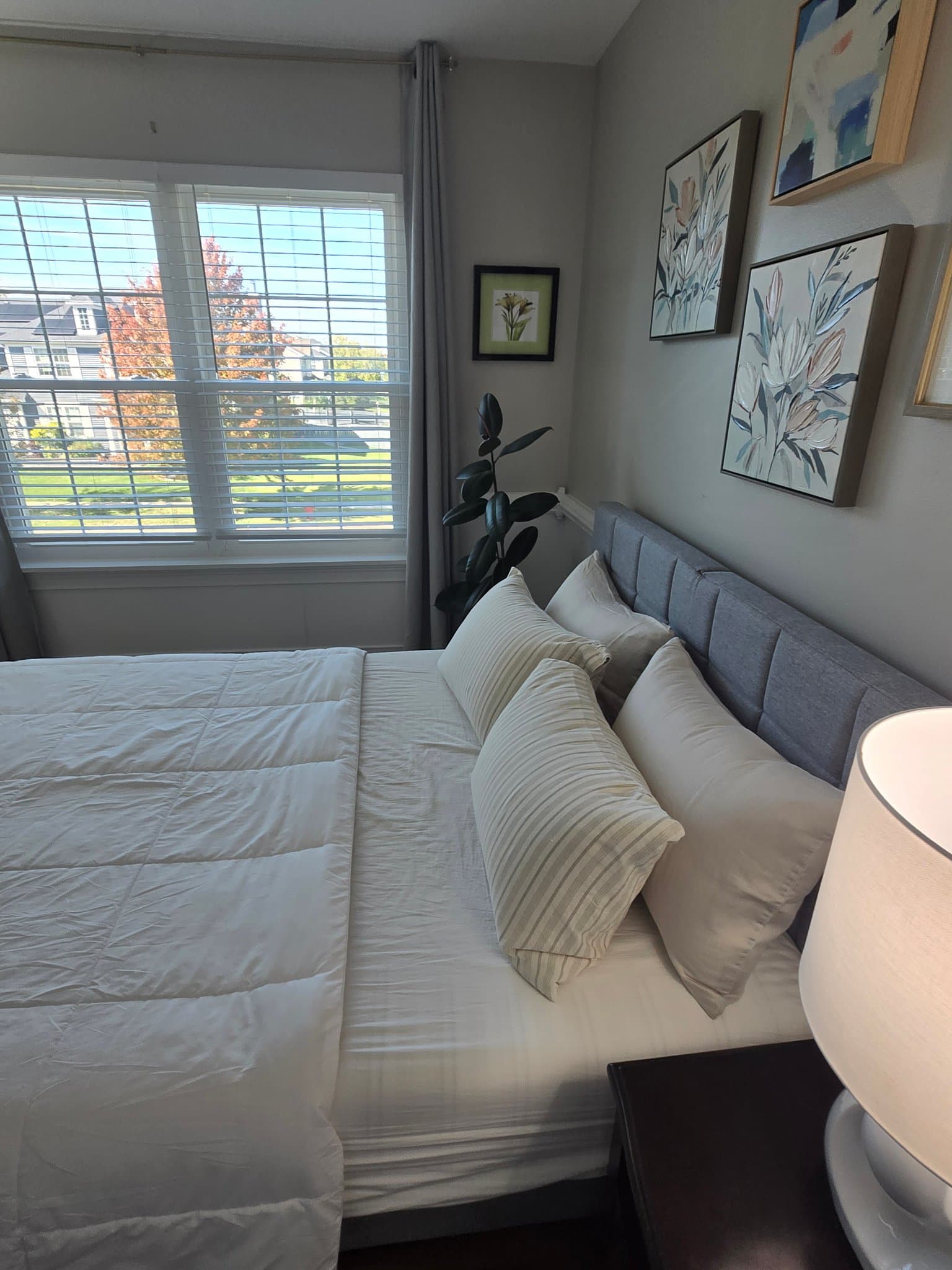 Oswego Single Room: 624 Ebony Drive