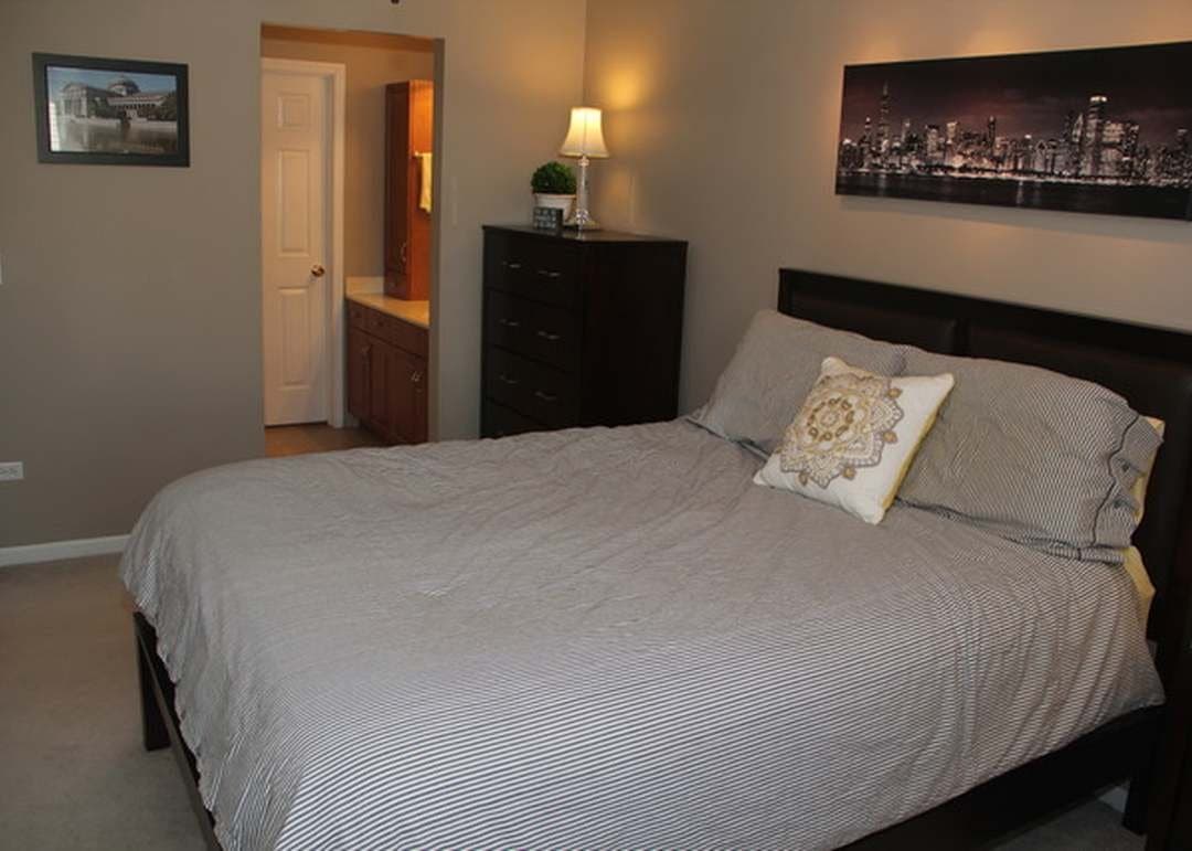 Schaumburg Condo: 965 Manchester Cir