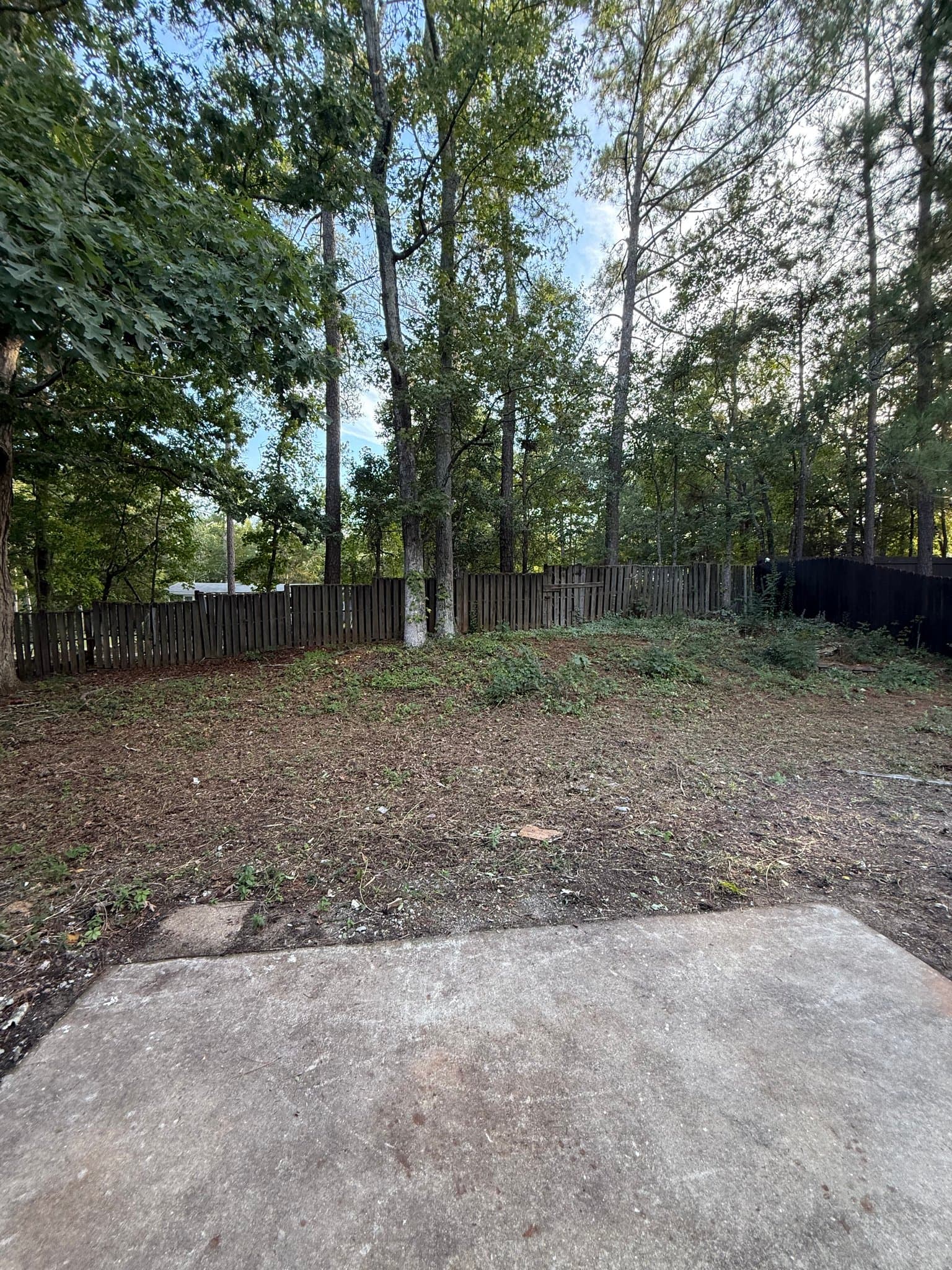 Irmo House: 58 Saint Albans Rd