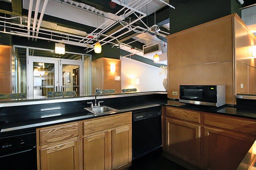 Chicago Condo: 336 S Dearborn St