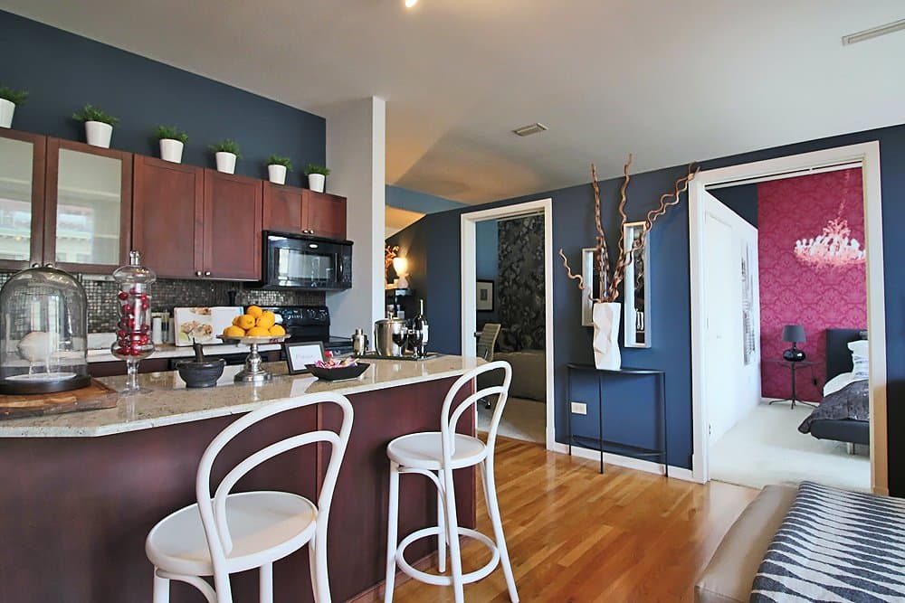 Chicago Condo: 336 S Dearborn St