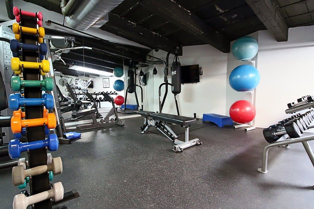 Chicago Condo: 336 S Dearborn St
