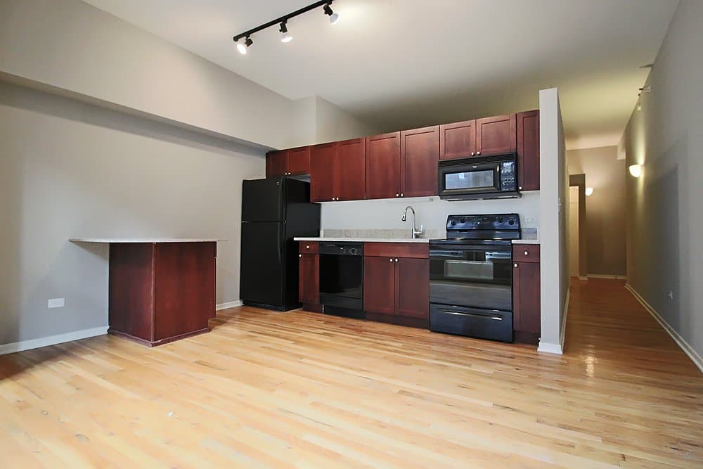 Chicago Condo: 336 S Dearborn St