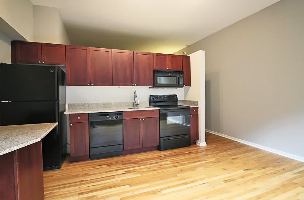 Chicago Condo: 336 S Dearborn St