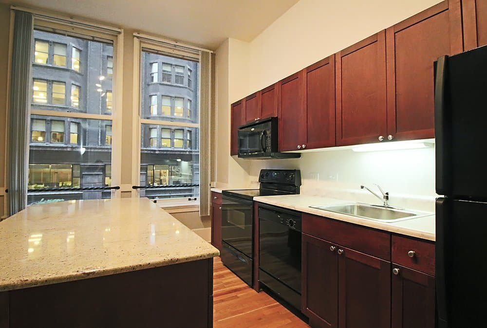 Chicago Condo: 336 S Dearborn St