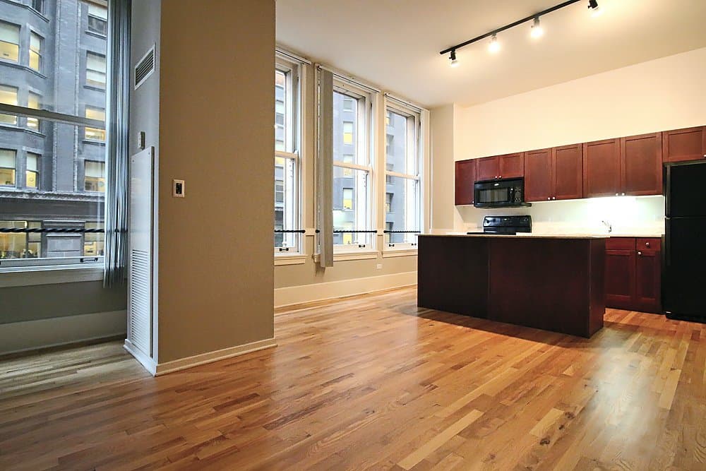 Chicago Condo: 336 S Dearborn St