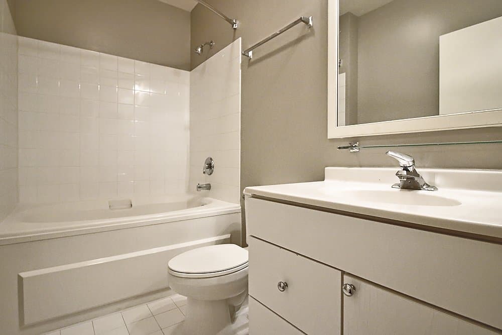 Chicago Condo: 336 S Dearborn St