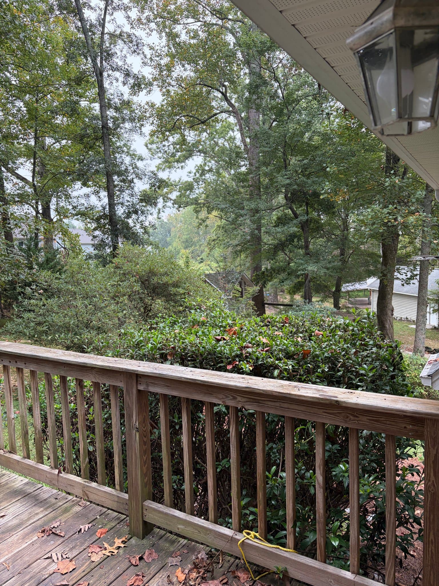 Flowery Branch Townhome: 5575 McEver Road