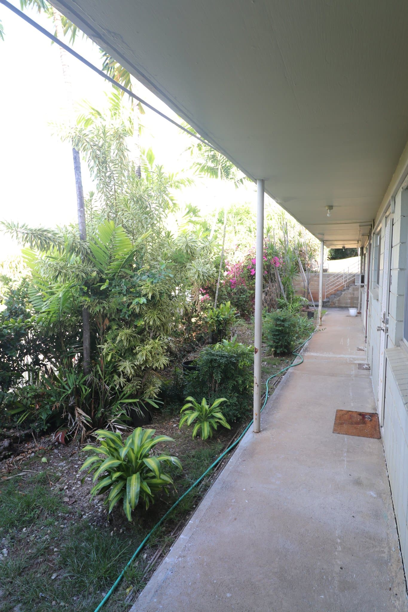 HONOLULU Single Room: 1534 MAGAZINE ST A-2